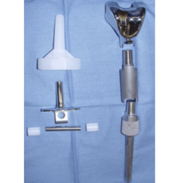 Endoprosthetic Reconstruction