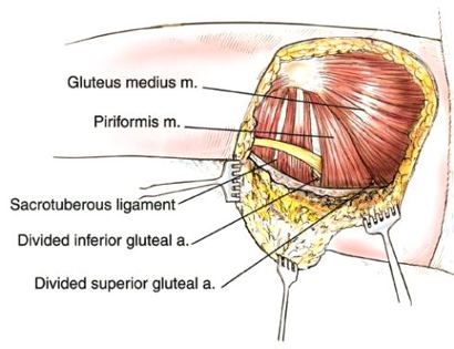 Soft Tissue Coverage 